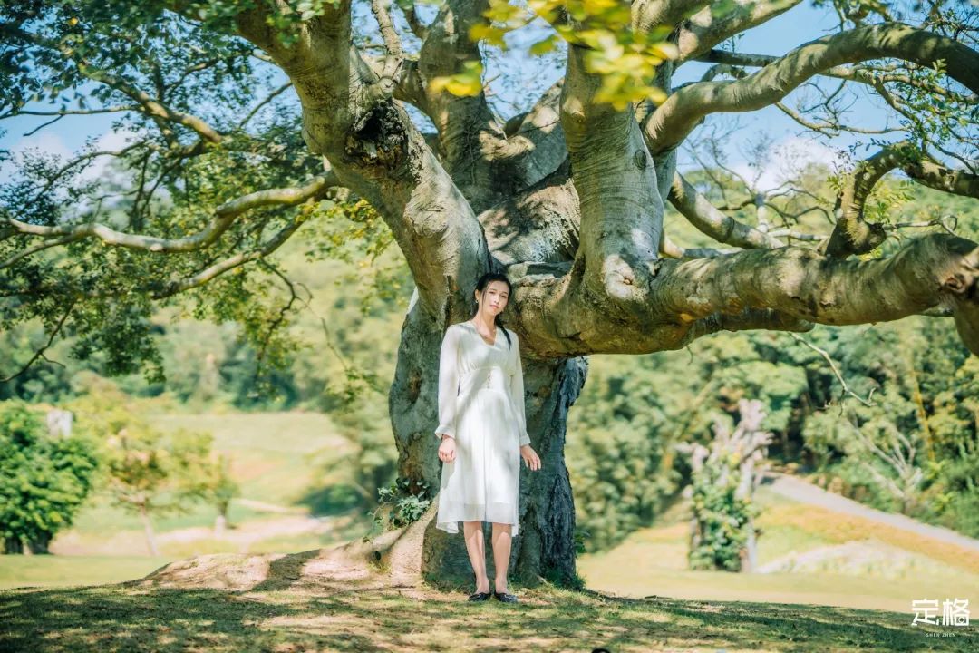 深圳10个小众打卡地免费游玩,深圳十大免费打卡地