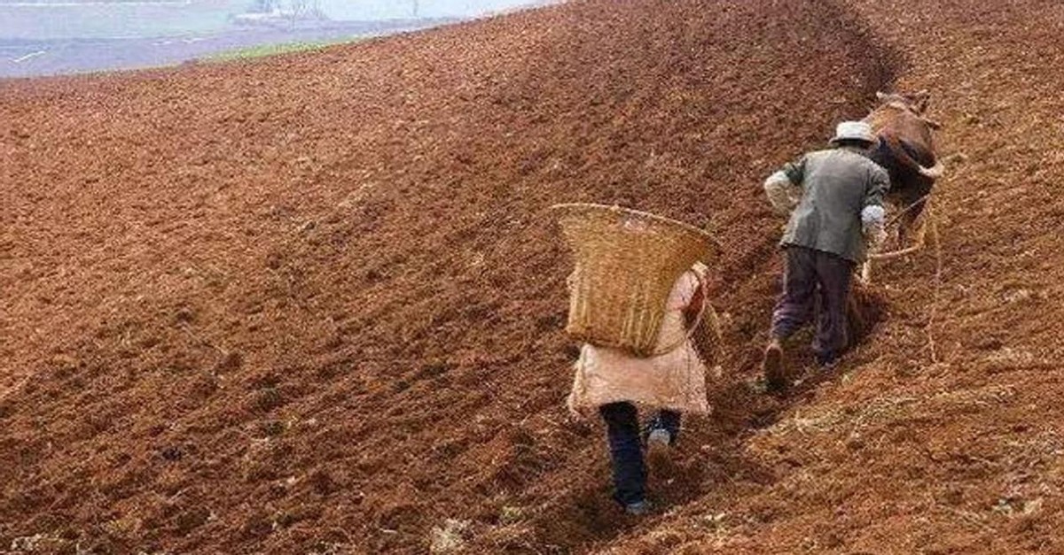 赊账村支书,村支书赊账24年