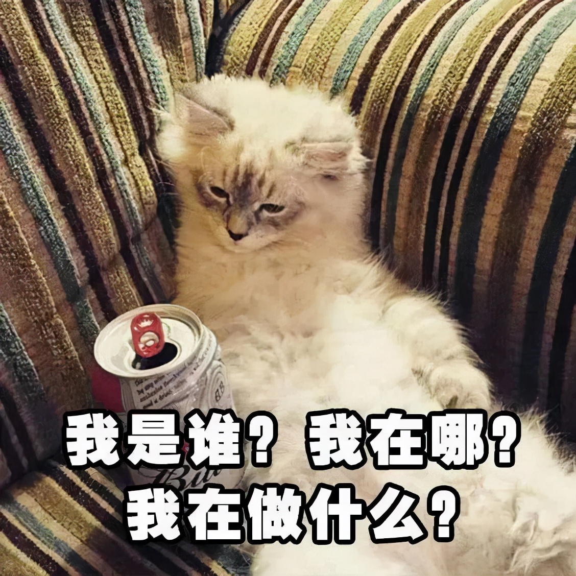 突然忘记自己要做什么了怎么办,突然忘记要做什么事情是什么症状