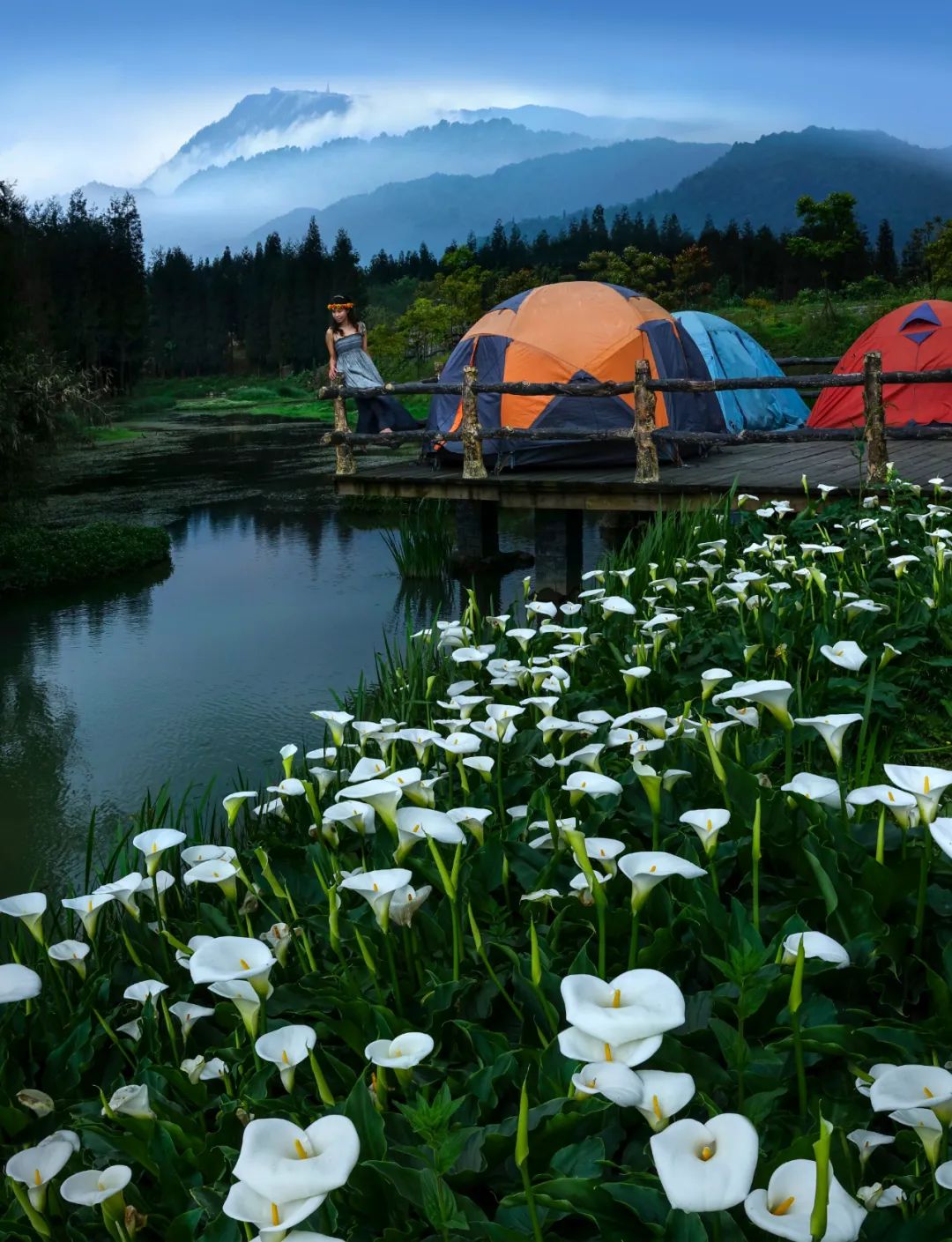 洪雅避暑哪里最好玩,洪雅避暑景点推荐