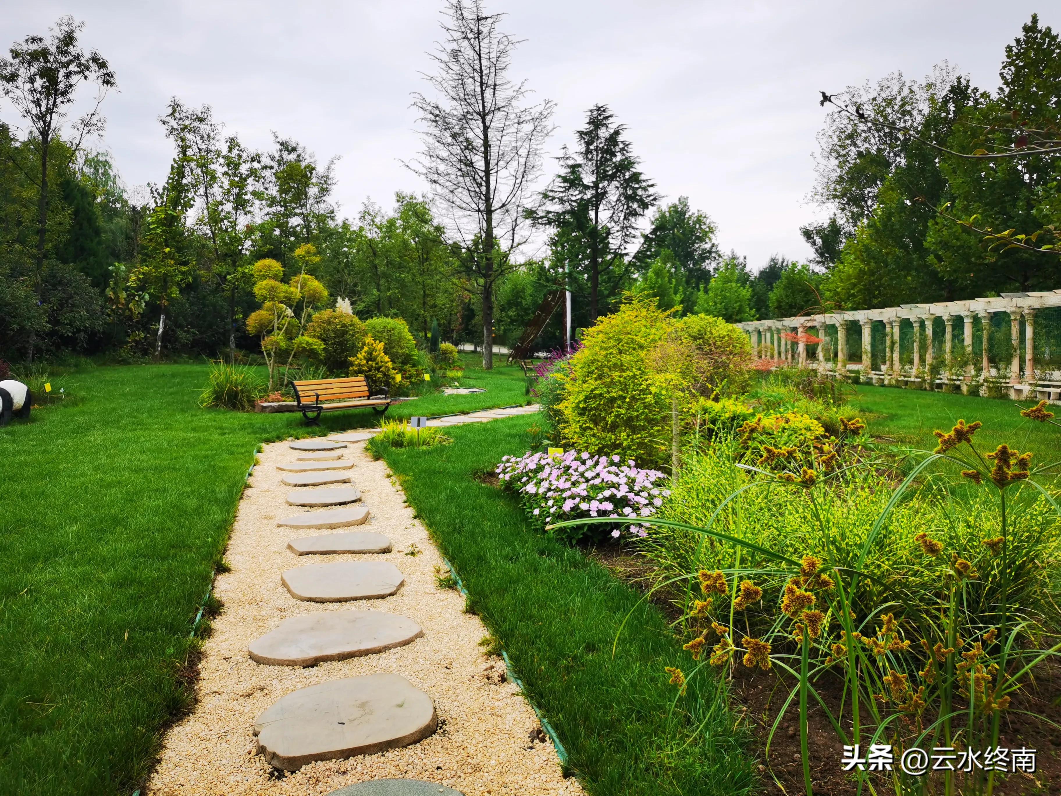 世界上最大室内植物园在哪,去世界上最大的动物园