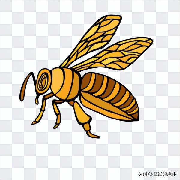 马蜂的习性有多可怕,马蜂习性的特点是什么