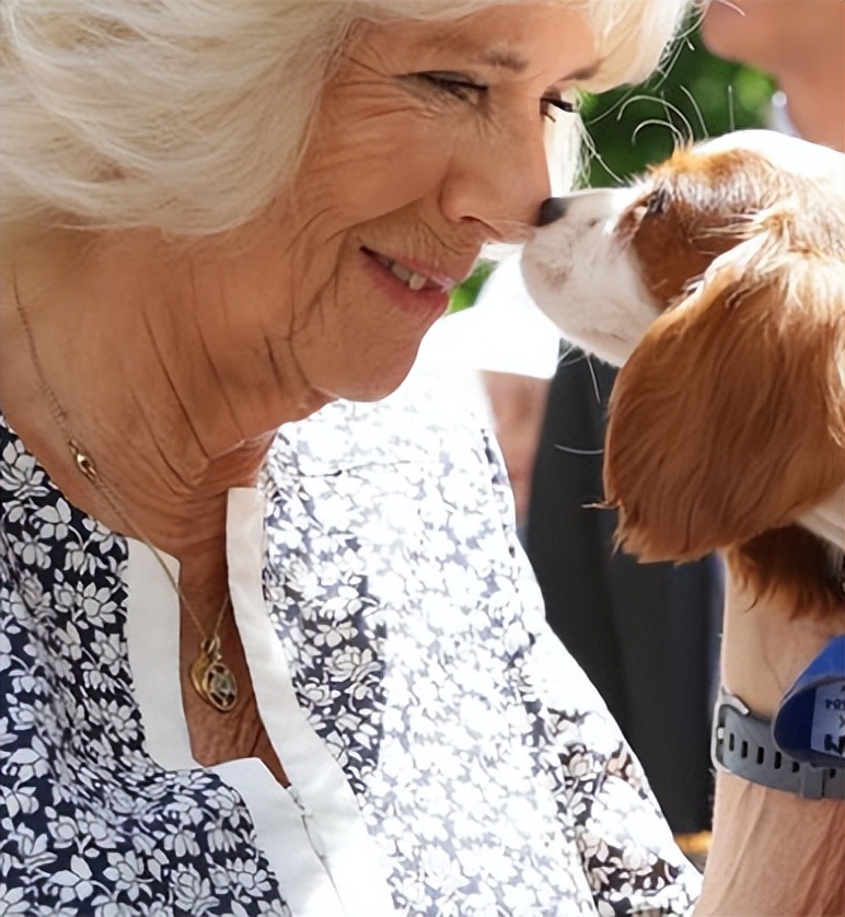 卡米拉气质逆袭不输戴安娜,卡米拉微笑回应凯特