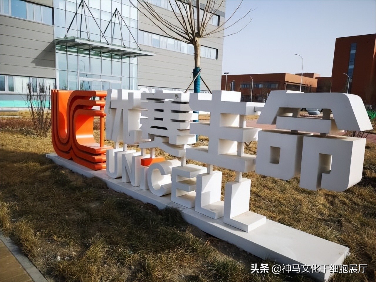 干细胞展厅生命科学馆案例展示,干细胞全息投影展厅