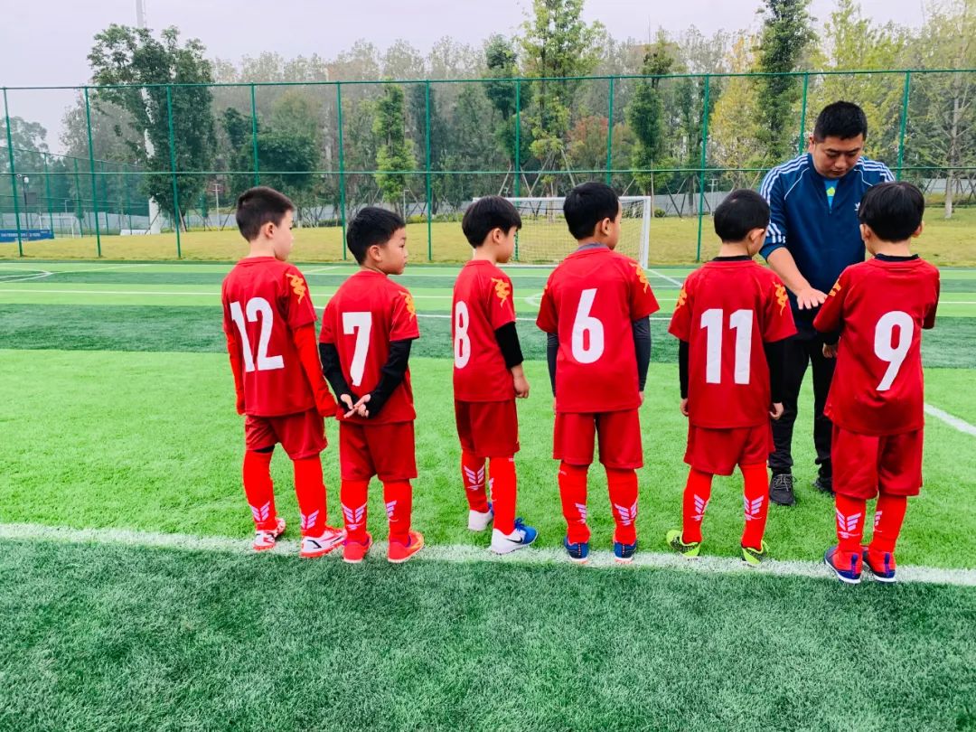 暴龙队篮球,暴龙战队恐龙精神