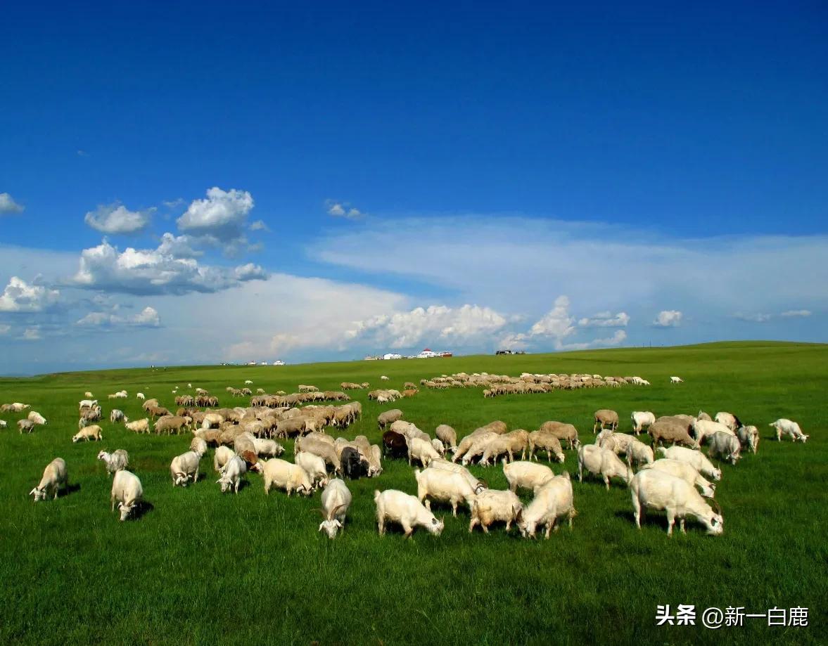 国民生产总值排名前十的省份,全国最新省份生产总值排名