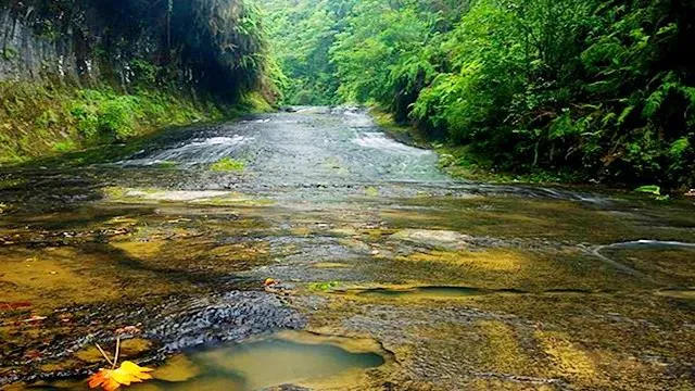 内江绿茵青训,内江足球青训俱乐部