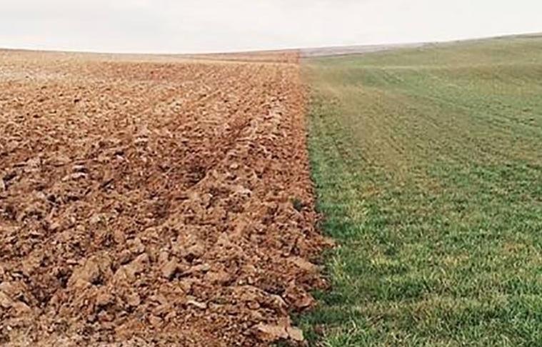 土壤污染防治法的污染担责原则,土壤污染防治法审议通过的时间