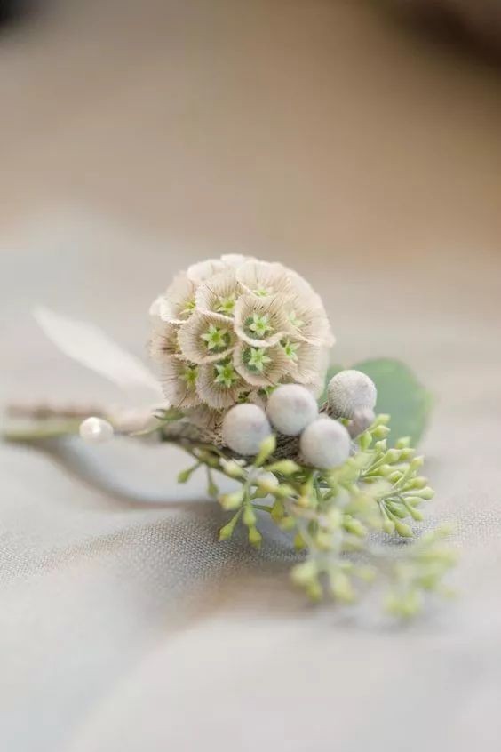 闀垮緱鍍忚冻鐞冧竴鏍风殑妞嶇墿,鍜岃冻鐞冩湁鍏崇殑妞嶇墿