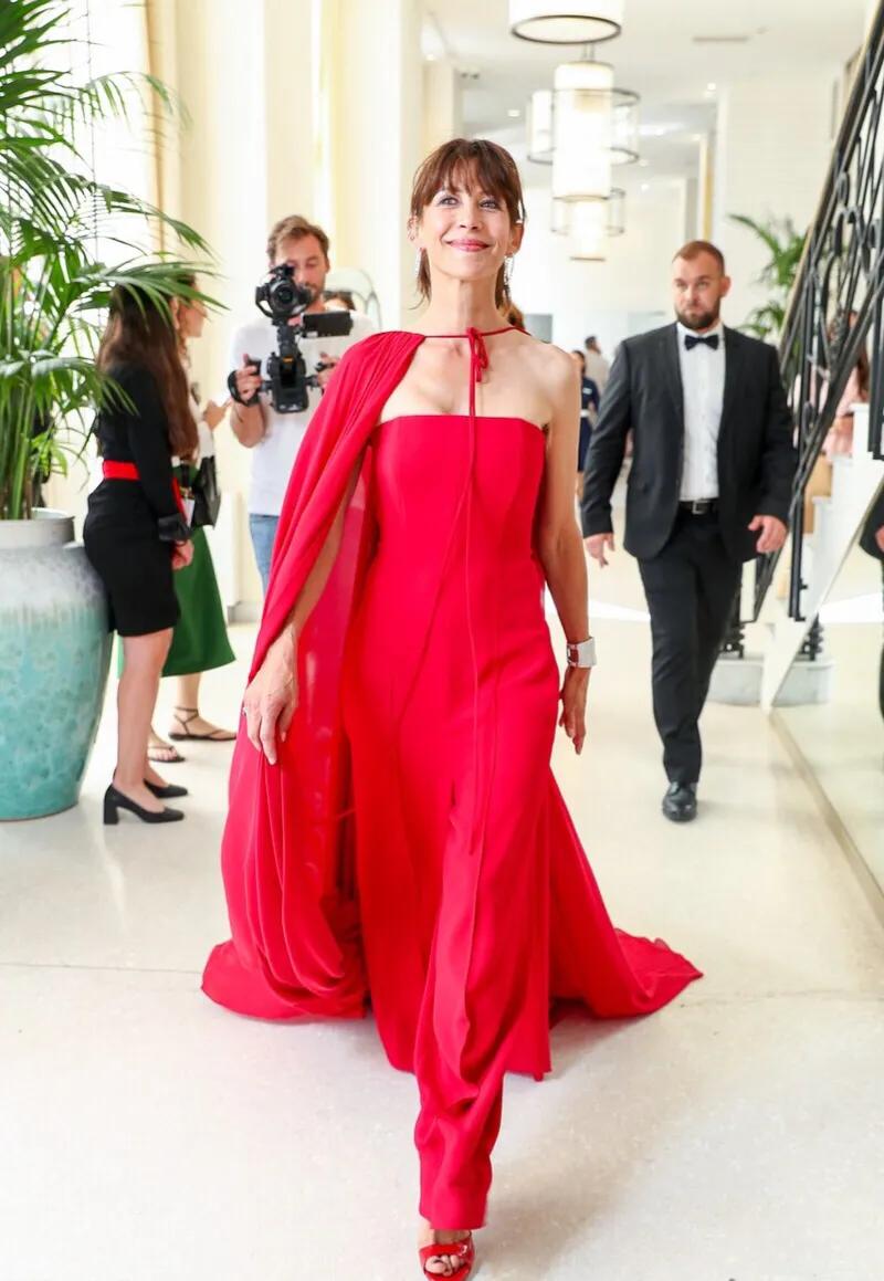 法兰西玫瑰的盛世美颜,法兰西玫瑰出状态