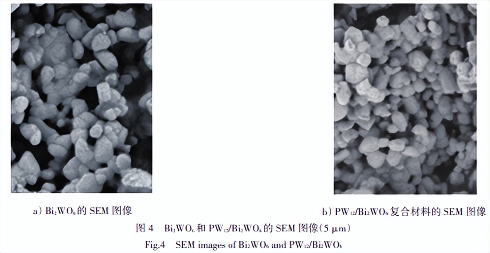 PW12/Bi2WO6制备及光催化性能的研究，其光催化性能有何特点？