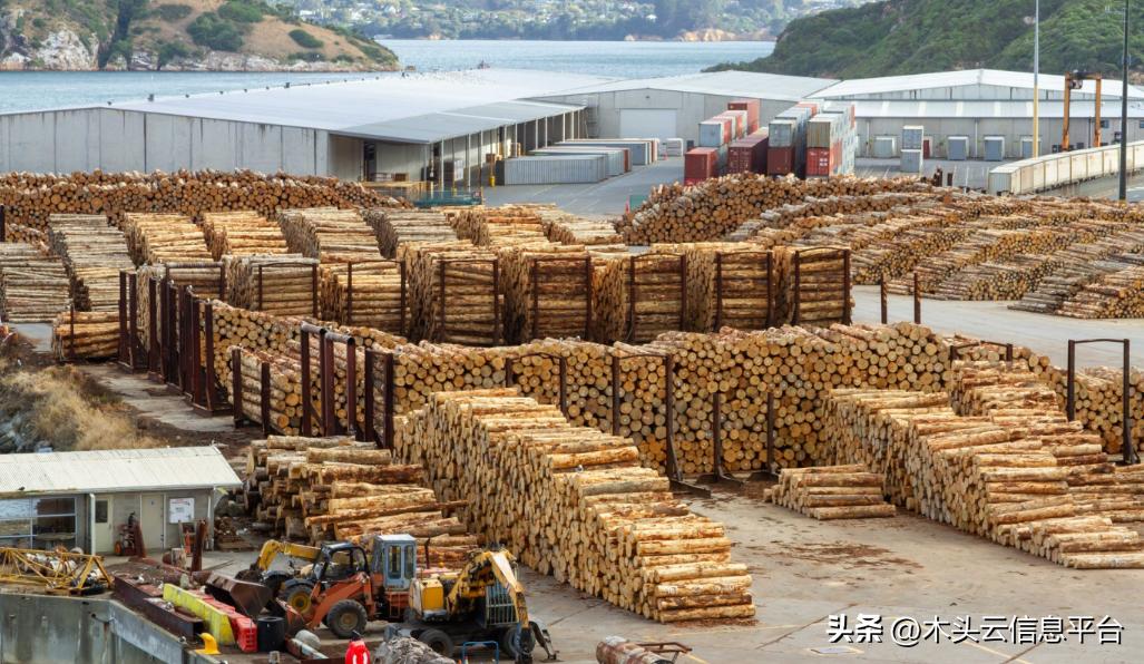 澳大利亚木材能进中国了吗,中国向澳大利亚出口木材