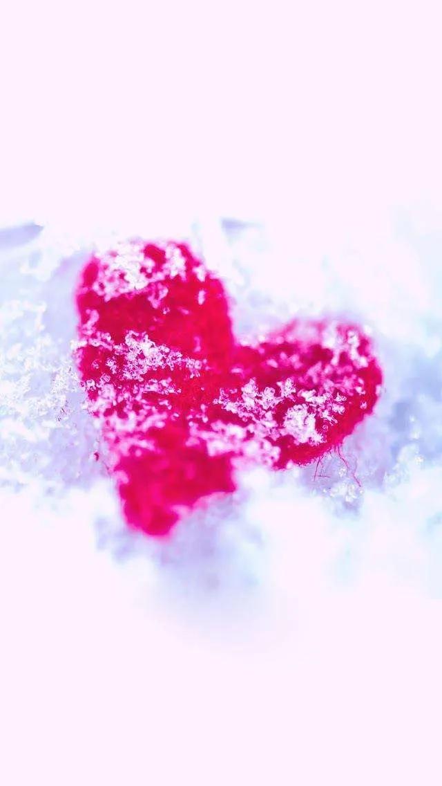 好看的的壁纸高清,好看的壁纸正方形图片