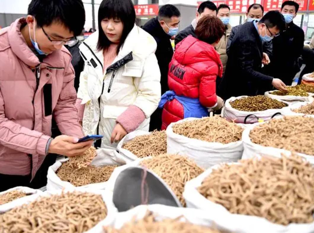 更年期脾虚的表现症状,脾肾虚和肾虚的区别