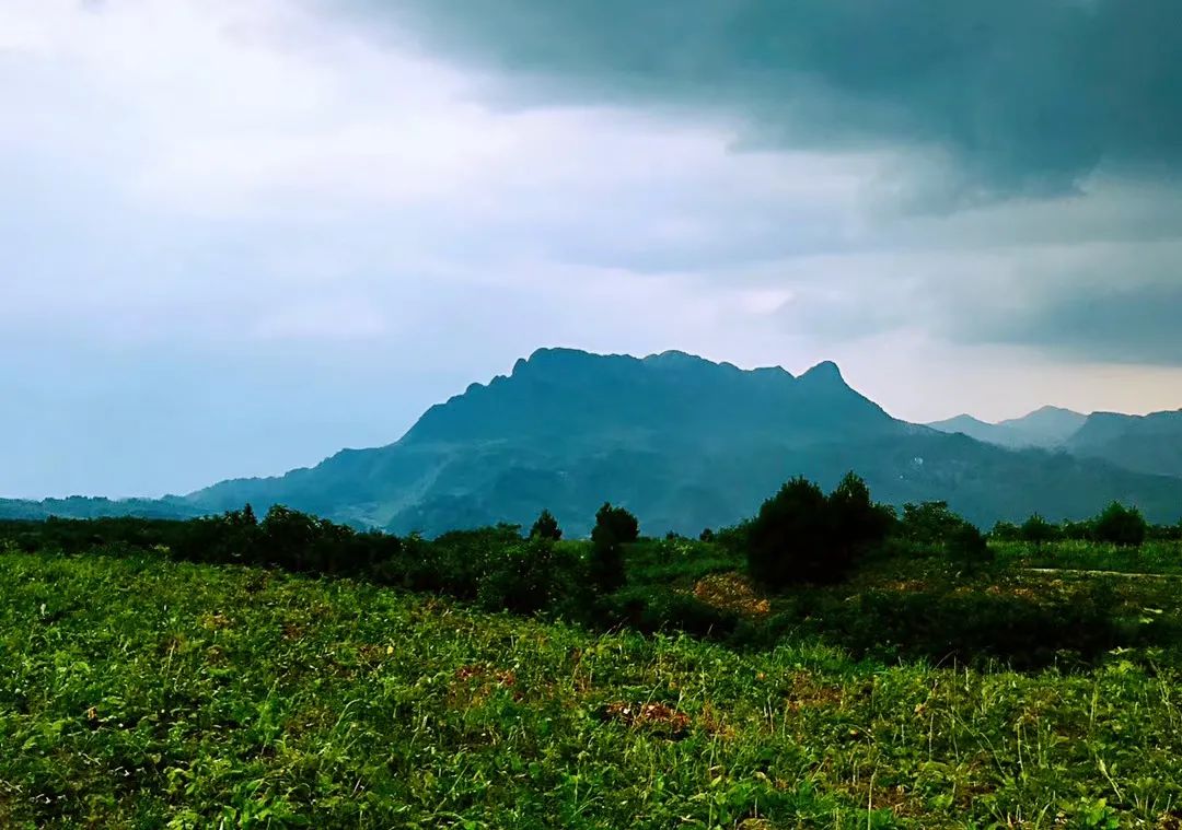 南川区金佛山旅游攻略,南川金佛山一日自驾游攻略