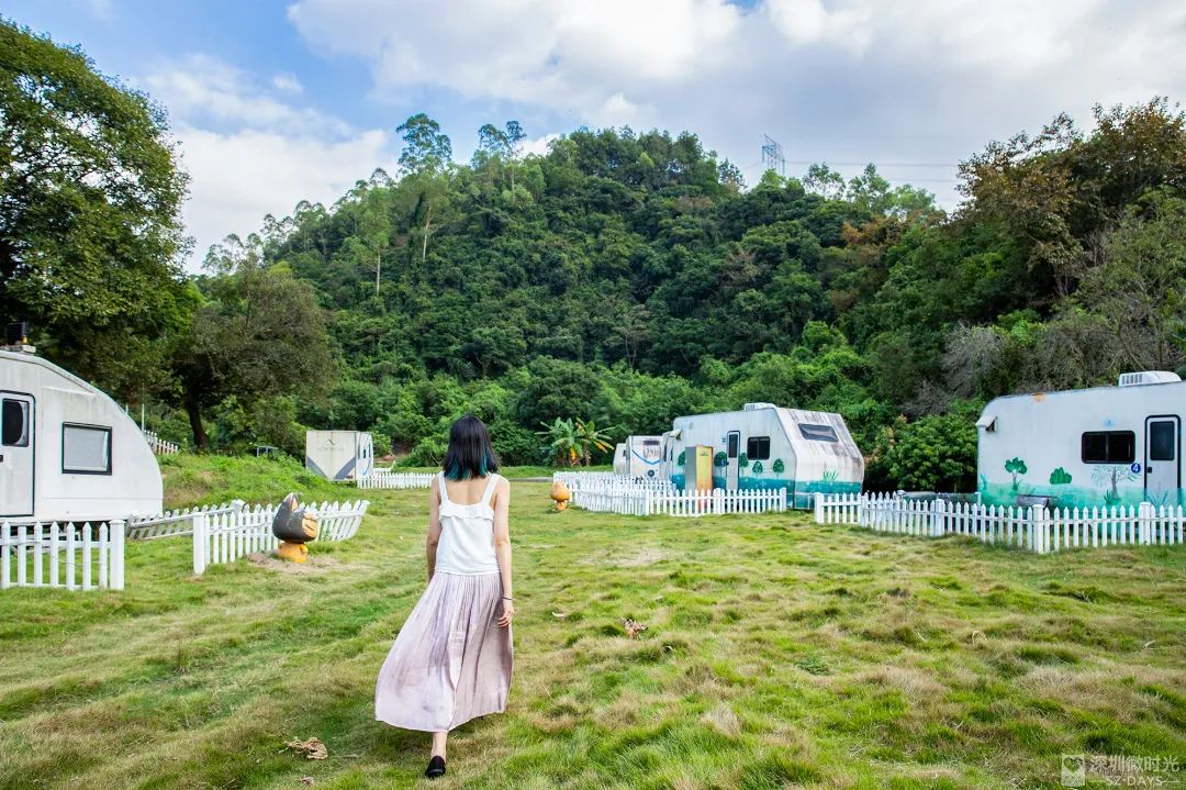 14号地铁有没有到坪山高铁站,坪山14号线转10号地铁图