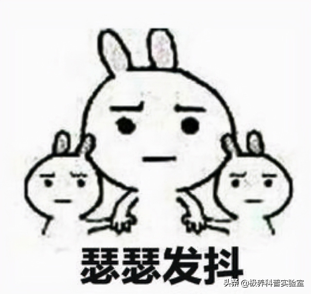 清肠茶喝3年结果肠子都黑了,除了肠清茶还有哪种茶可以清肠道