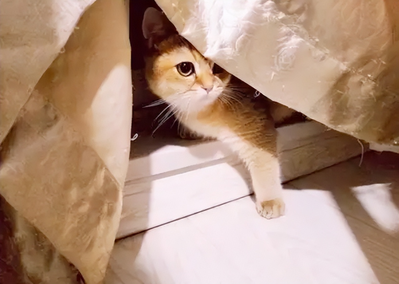 知乎高赞普通人,知乎高赞普通人的一生