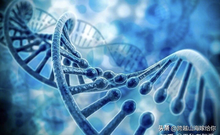 孩子的出现治愈了婚姻带来的不幸,儿子有病婚姻还能继续下去吗