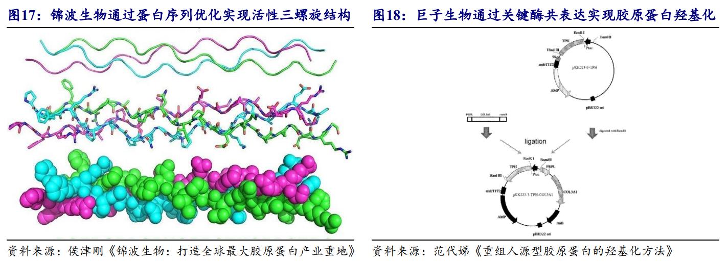 鑳跺師铔嬬櫧鍥藉唴宸蹭笂甯傜殑鍏,鑳跺師铔嬬櫧鑳藉惁鎴愪负璺ㄨ秺鍛ㄦ湡鍘熸枡