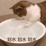 这个夏天一定要穿小吊带,夏天就是要穿上好看的小吊带