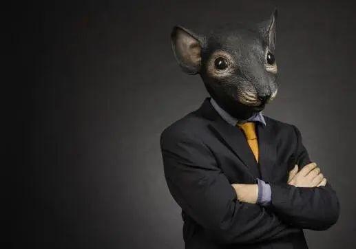 富国基金老鼠仓,富国老鼠仓基金公司