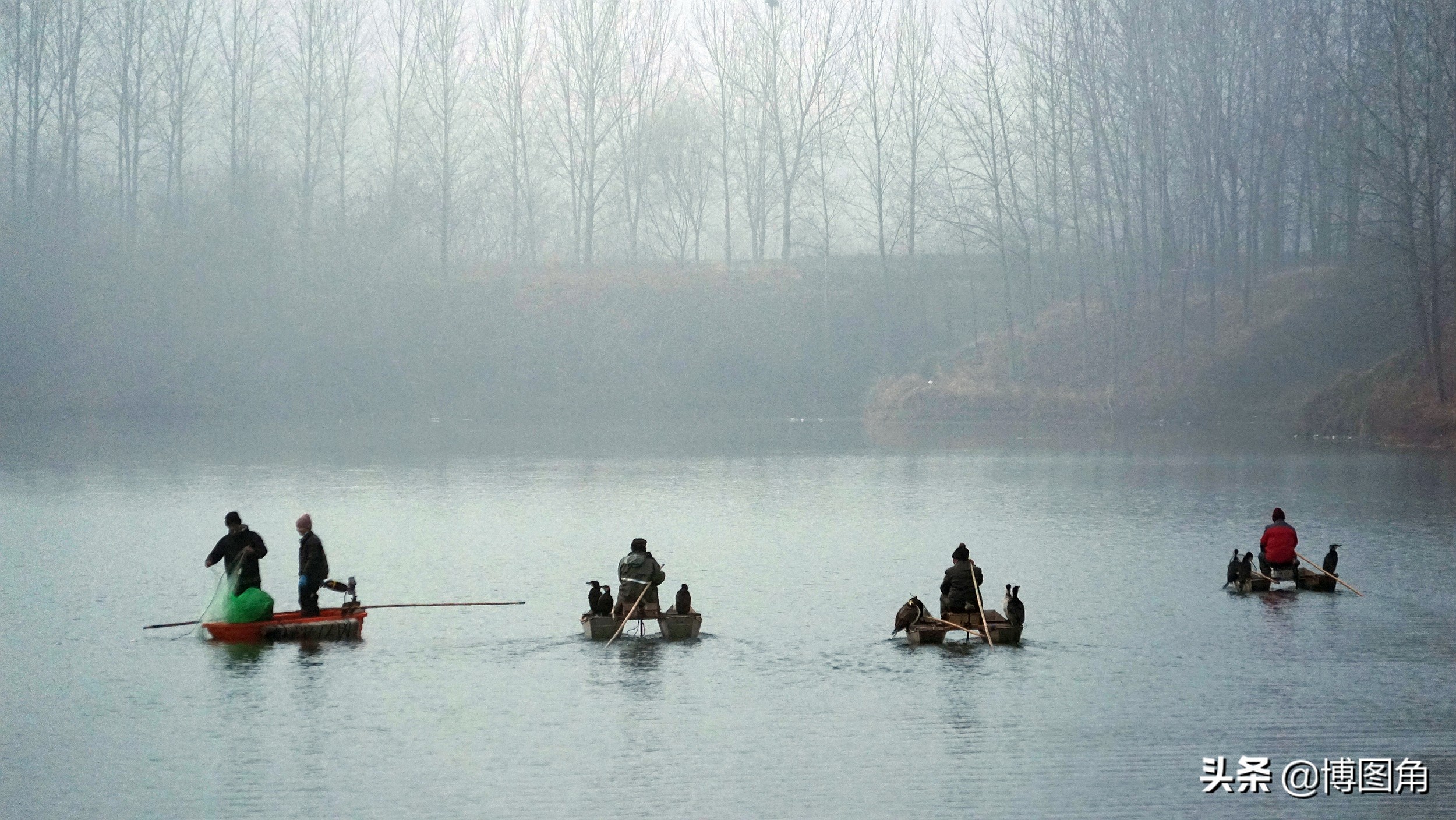 80年代农村鱼鹰捕鱼,渔民与鸬鹚捕鱼图片