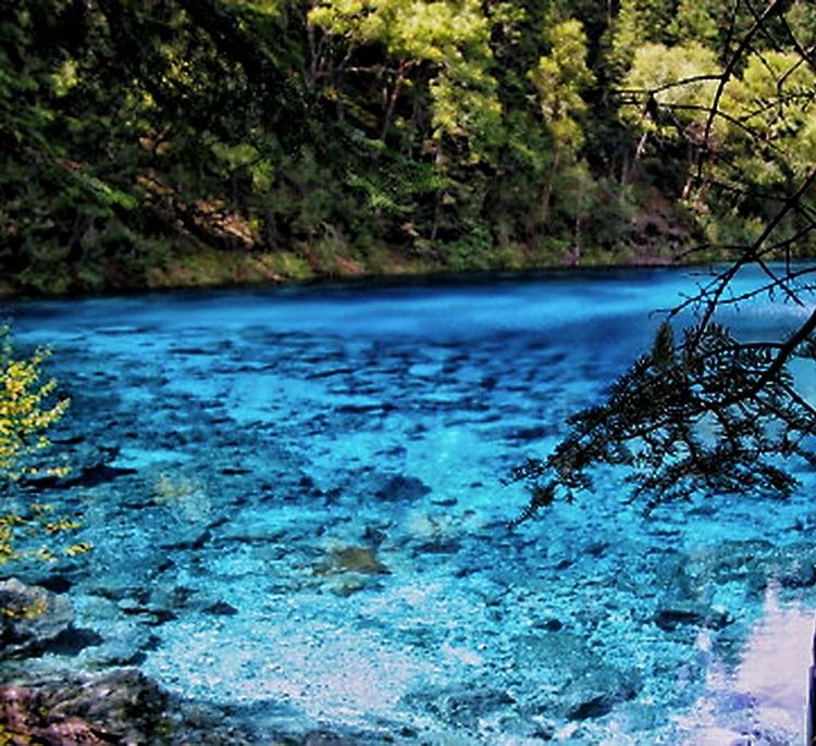 碧水逶迤湖色映九寨，银河泻影山水傲溟渤美篇制作：刘嘉国