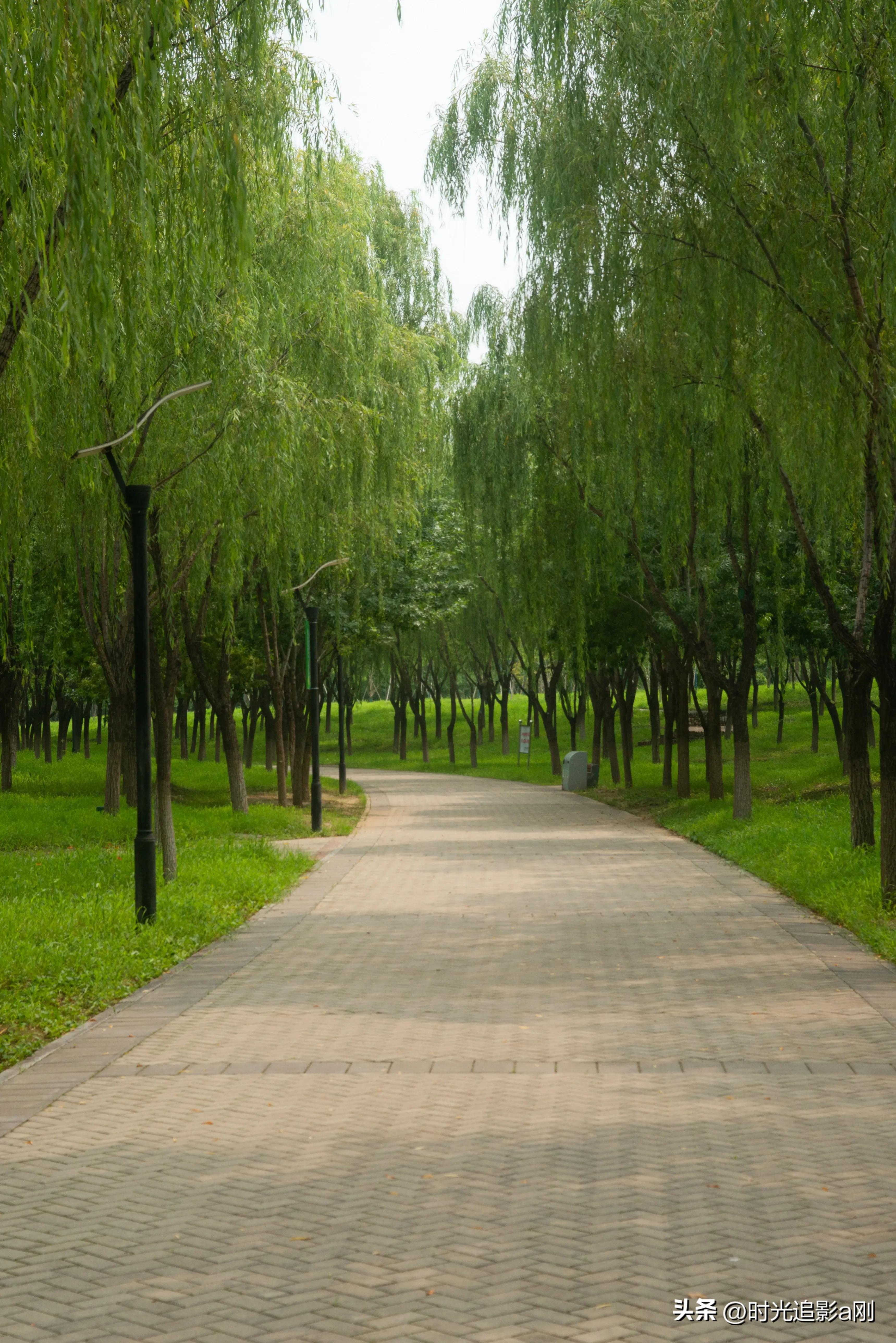 秋日时光音乐会花絮,秋日傍晚公园的美景