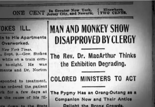 人类被动物当成宠物养在笼子里,把人类当作宠物关在笼子里