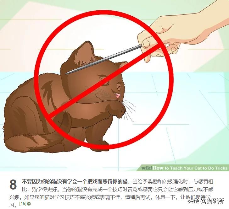 当你亲吻猫咪时它在想什么,情侣亲吻猫咪在想什么