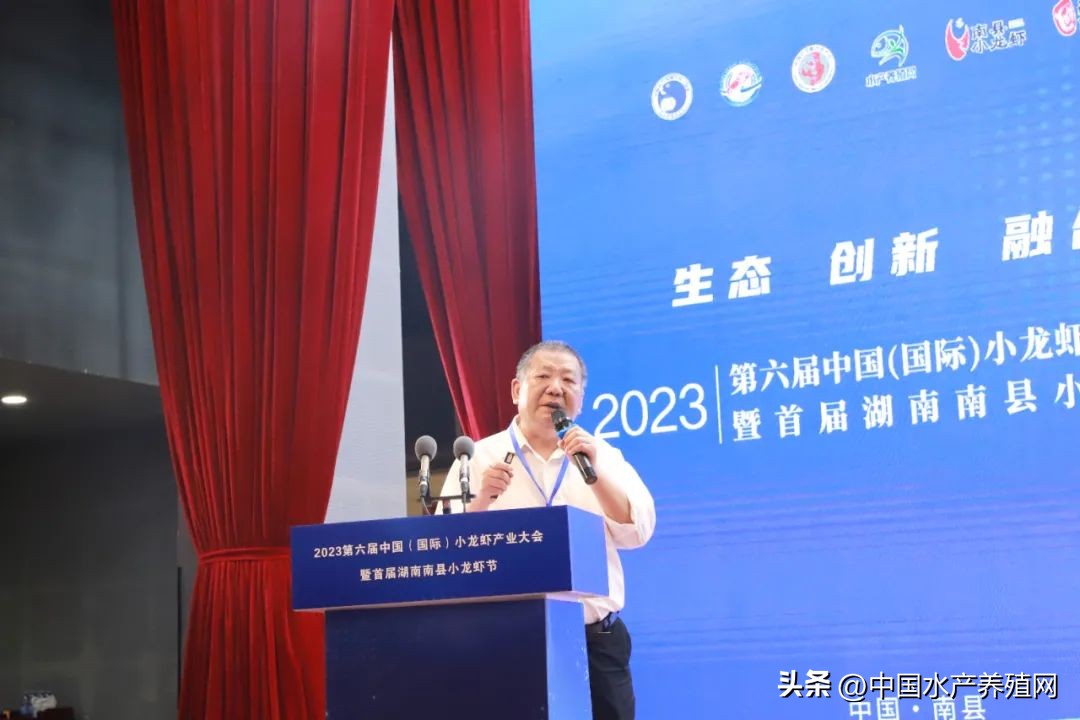 2023年南县小龙虾价格行情,南县小龙虾价格报价