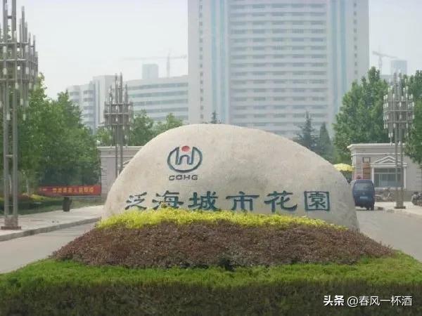 泛海集团董事长卢志强,泛海控股集团卢志强怎么起家