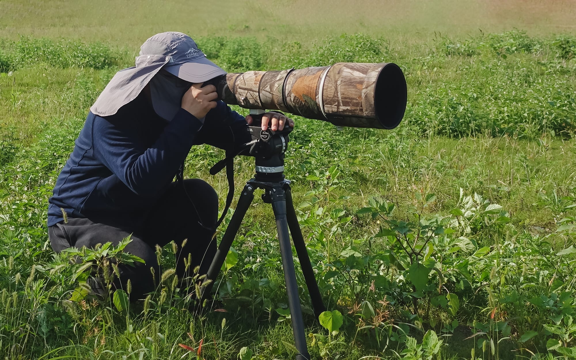 王者归来1-100级,索尼alpha1教程