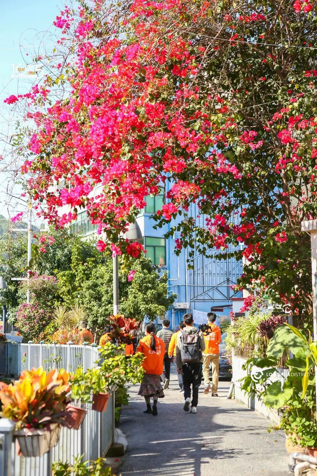 深圳美丽的古村落,网红古村落风景