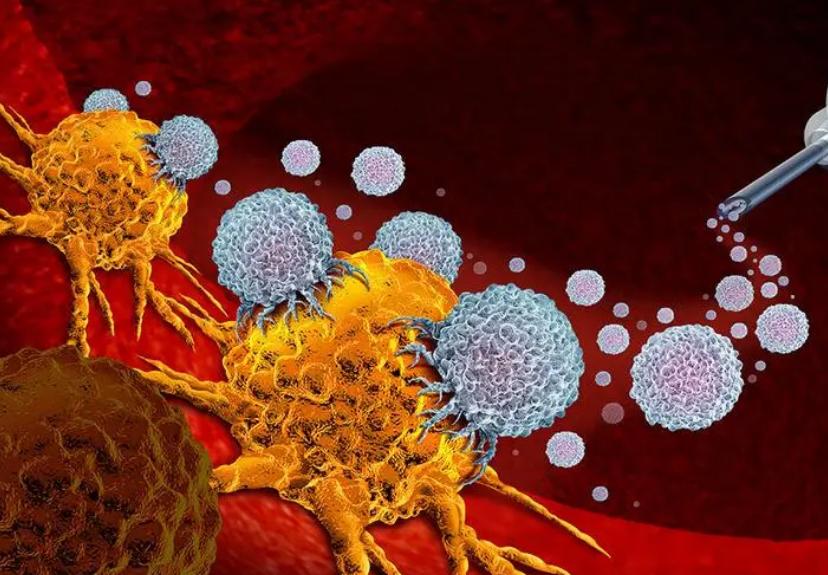 290万抗癌药物能治疗什么癌症,290元的抗癌药物