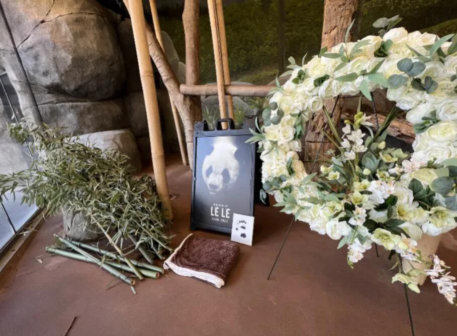 昆明太阳需匹配多巴胺穿搭环境共生咖啡来自愈疫情阴霾走游慢活族