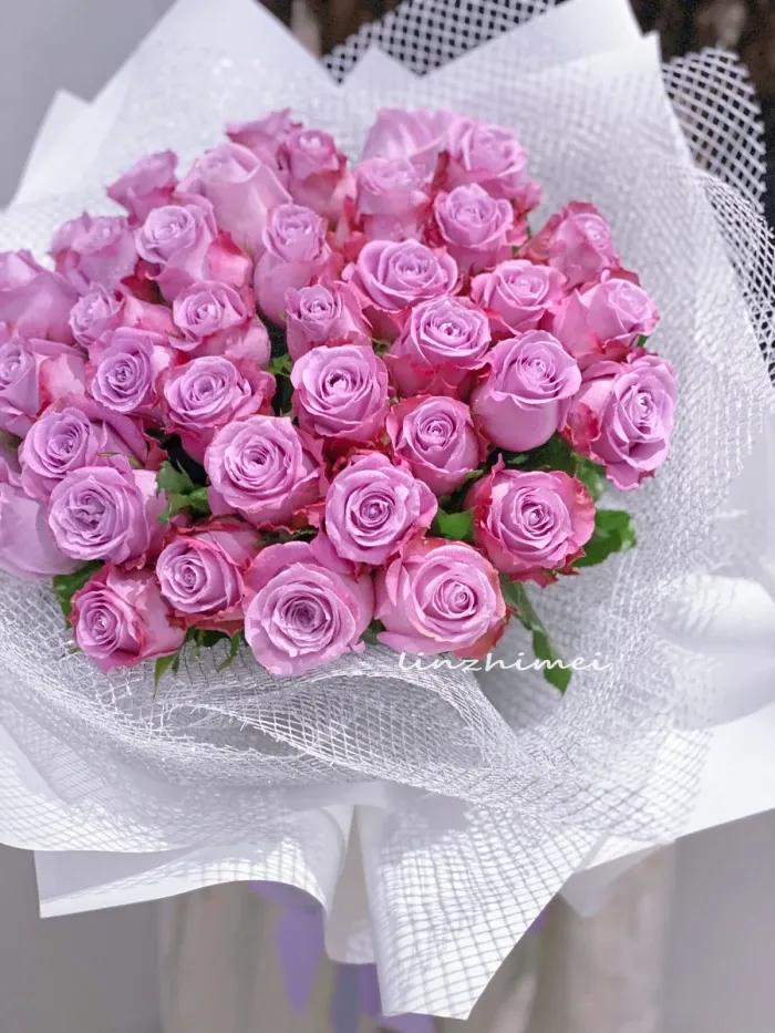 不同颜色的玫瑰花寓意送男生,各种颜色的玫瑰花代表的意思