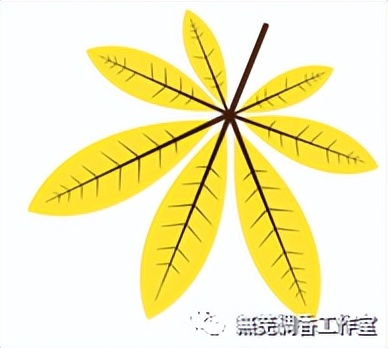 ifa国际芳疗师怎么报名,ifa国际芳疗师报考价格