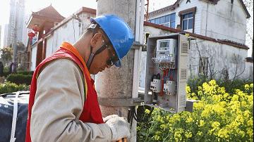 有电了！养蜂人因疫情滞留，供电公司专门拉了一根电线