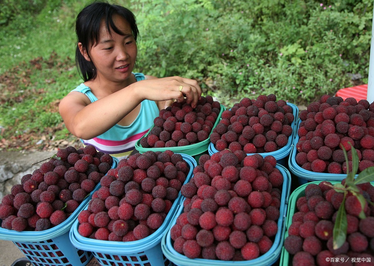 浙江的特产美食,浙江嘉兴特产有哪些可带走