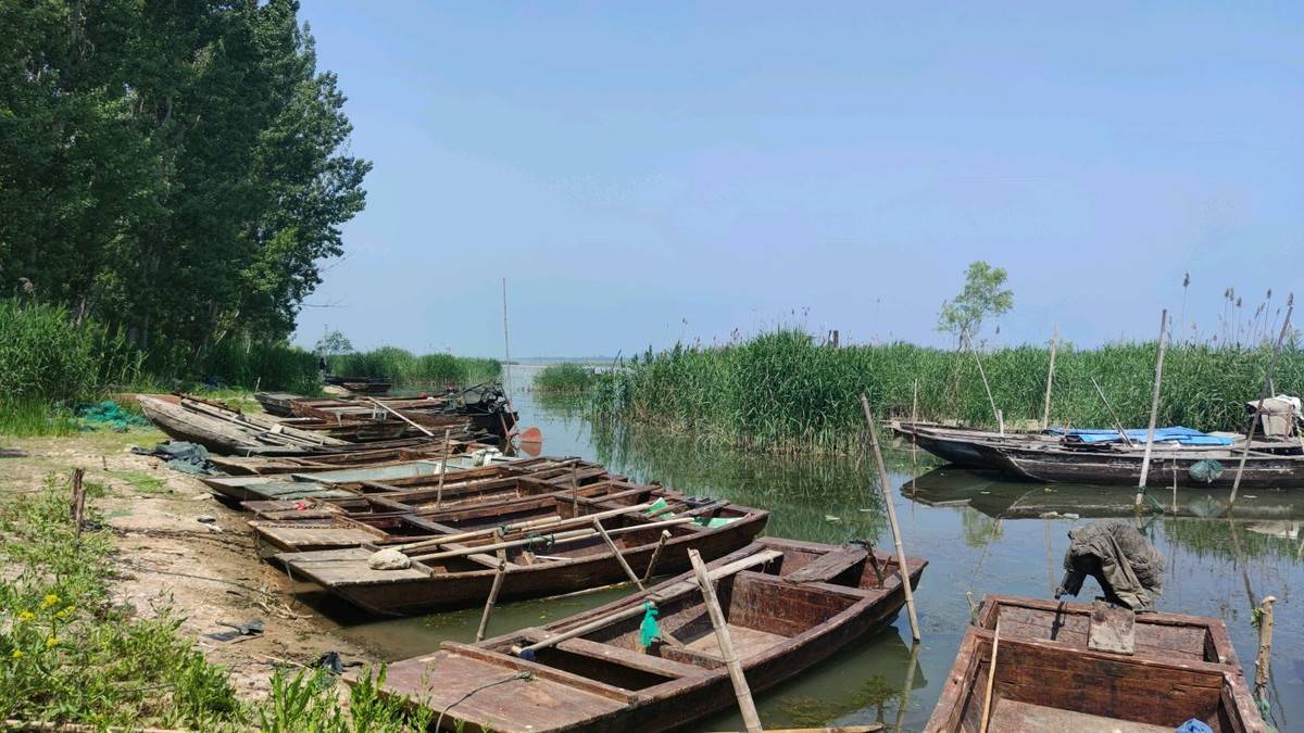 进淄赶烤一路飘香,进淄赶烤风雨无阻