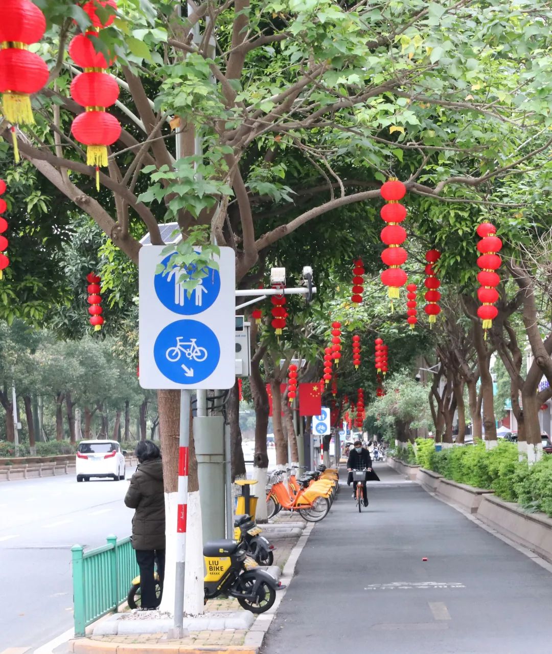 新春走基层年渐近年味浓,新春走基层石头村高挂迎客来