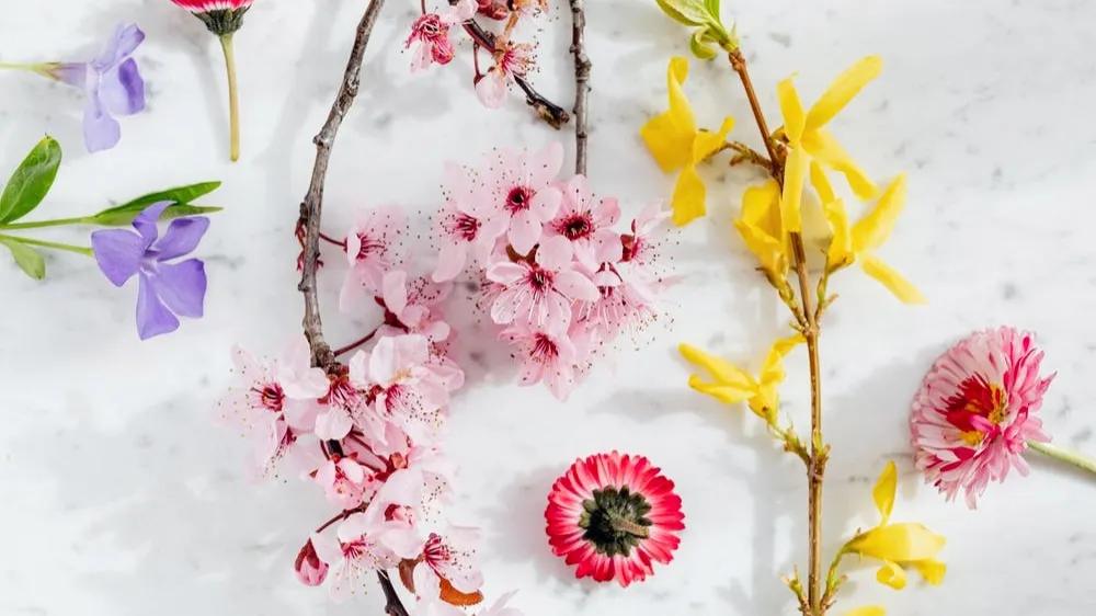 你喜欢的花的花语又是什么,你最喜欢哪朵花的花语