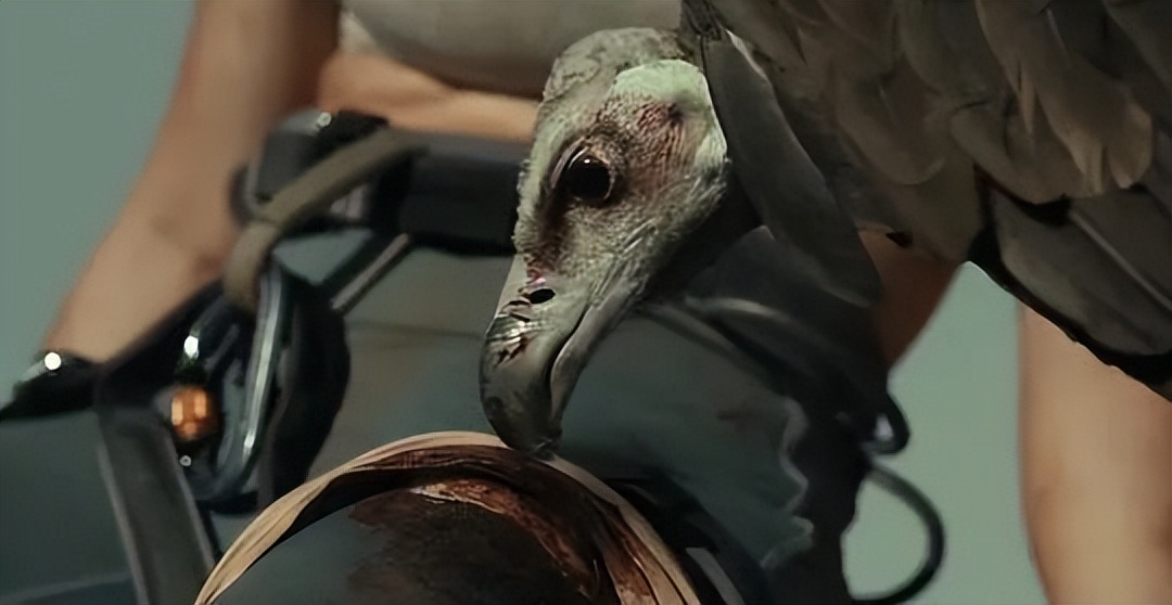 最值得看的十部新片,超爽新片来袭你会选择看哪一部呢