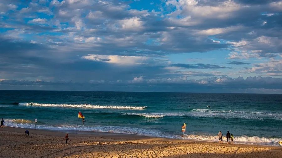 澳洲留学重点专业要求条件,澳洲留学的基础条件是什么