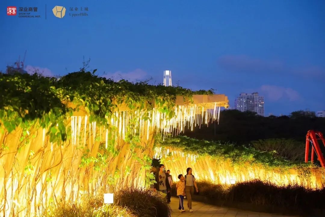 棣欐腐娣卞湷鍙嶅悜璐墿鏀荤暐,棣欐腐娣卞湷鍙嶅悜璐墿