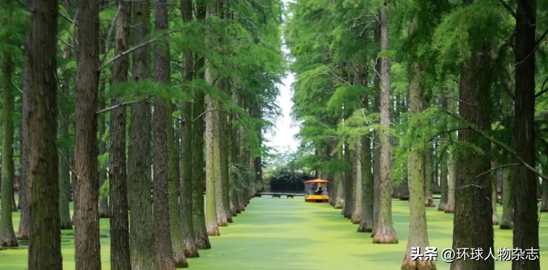 马克思主义为什么在中国落地生根,马克思主义之所以能够中国化