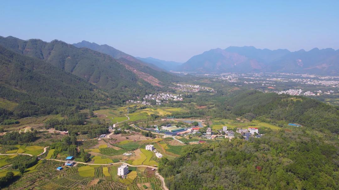 平南电视台新闻播出时间,广西卫视节目播出时间