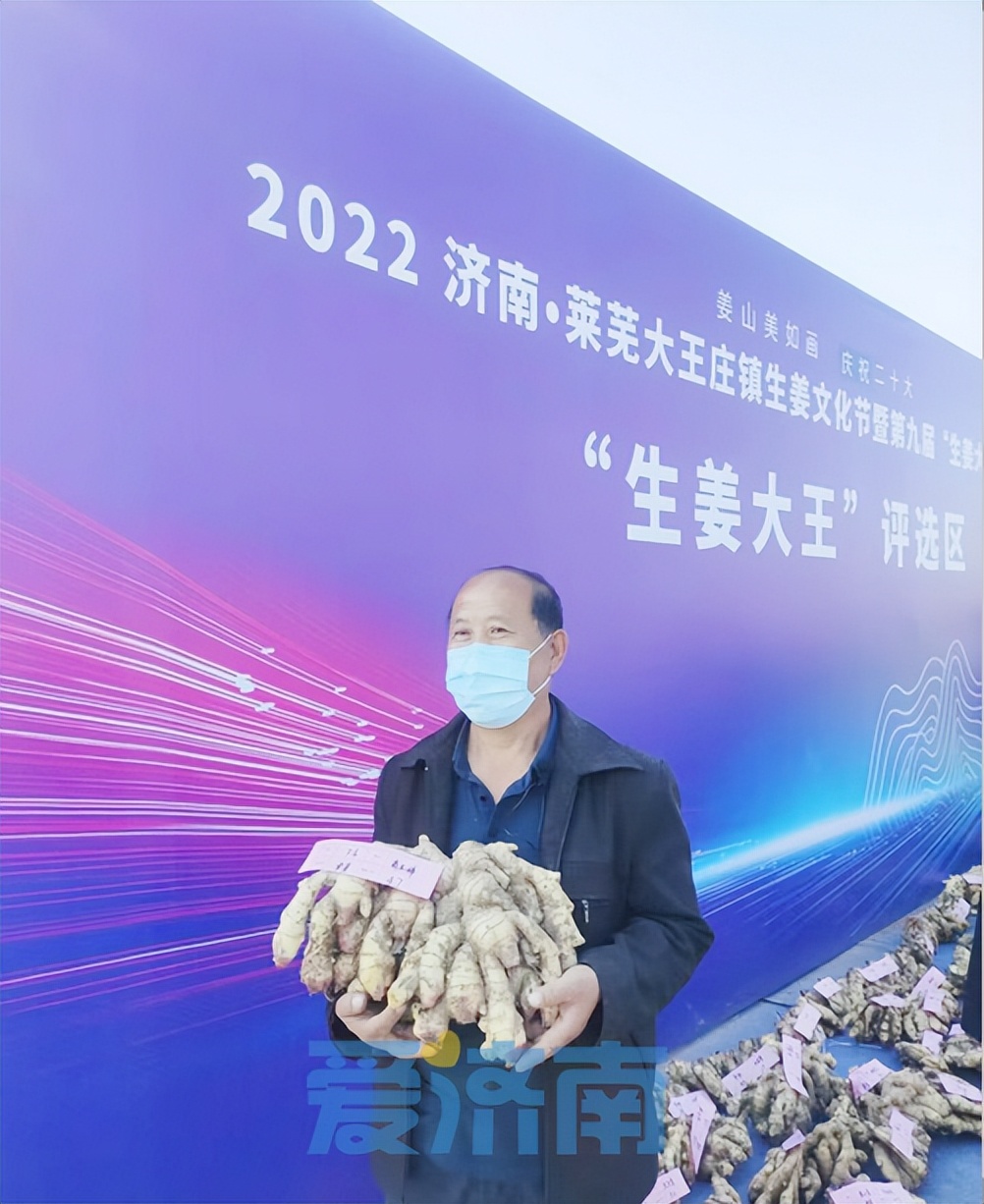 单芽4.7公斤，单株23公斤！“生姜大王”诞生记